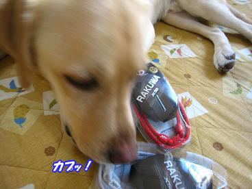 c0028792_23293351.jpg