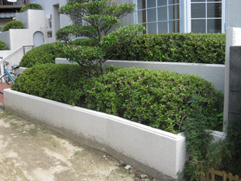 b0078597_1950692.jpg