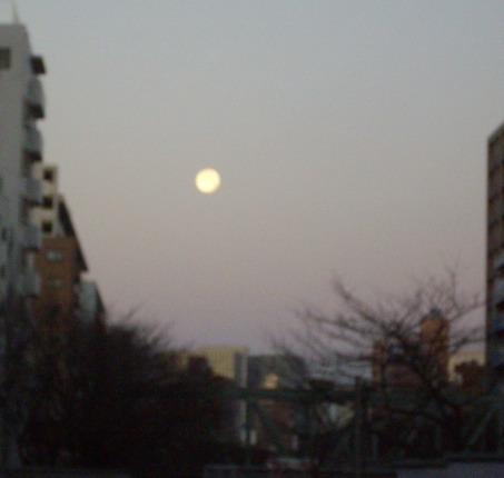c0138198_14553895.jpg