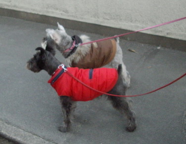 c0138198_15225011.jpg