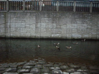 c0138198_152306.jpg