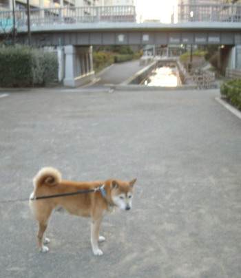 c0138198_1552870.jpg