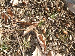 f0153998_004936.jpg
