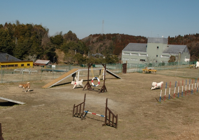 e0018604_22143362.jpg