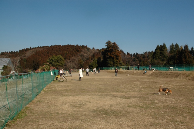 e0018604_2232501.jpg