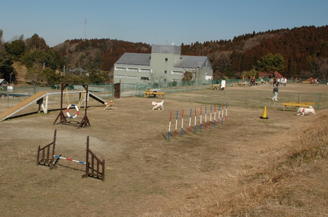 e0018604_225333.jpg