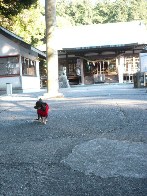 f0185804_2350568.jpg