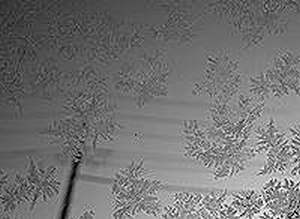 c0194712_22275279.jpg