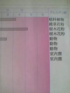 b0062214_202633100.jpg