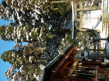 e0167315_1861798.jpg
