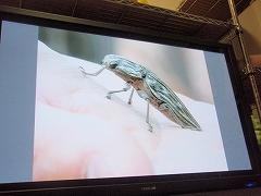 c0145016_03418.jpg