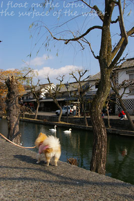 b0075318_22514733.jpg