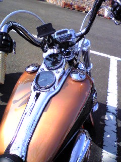 a0099129_1513244.jpg