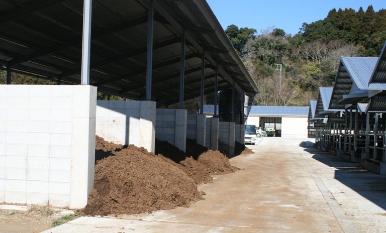 f0042737_1120321.jpg