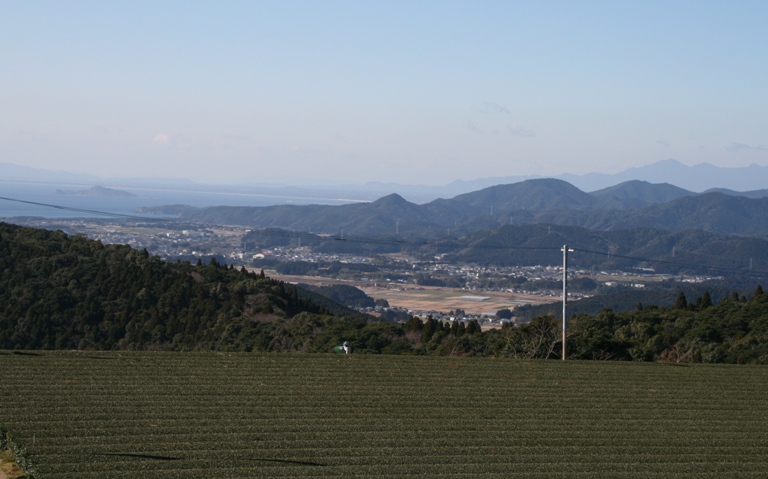 f0042737_1145222.jpg