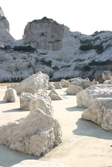 e0083238_2220535.jpg