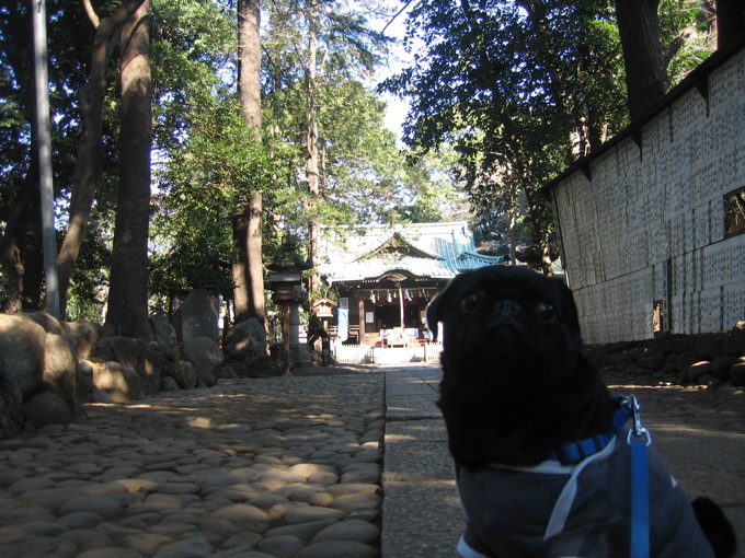 a0051443_123082.jpg