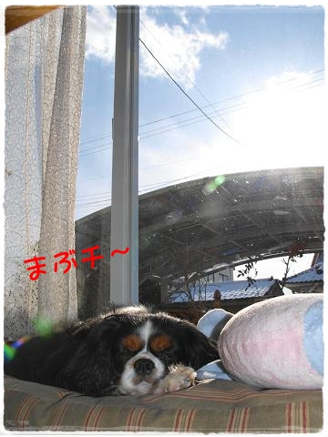 c0145250_15502480.jpg
