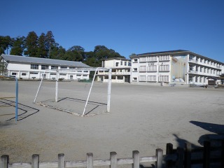 d0146153_15535516.jpg