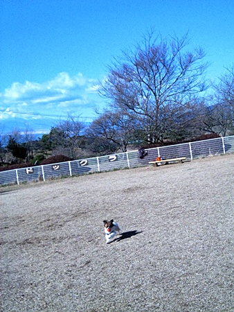 c0074156_2253251.jpg