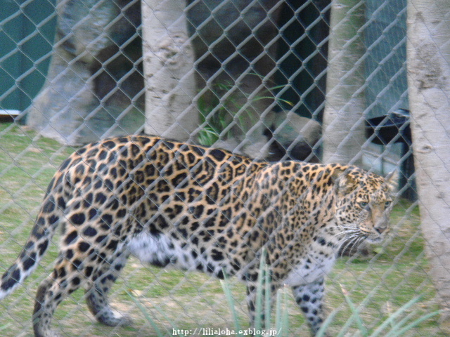 a0067962_9235029.jpg