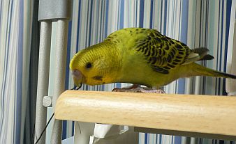 f0196665_23234989.jpg