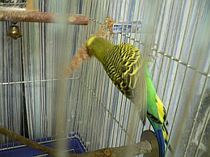 f0196665_233567.jpg