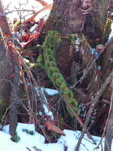 f0034574_3353631.jpg