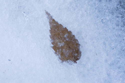c0195281_14594645.jpg