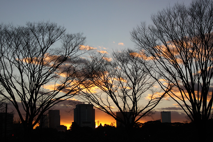 b0067789_2046420.jpg