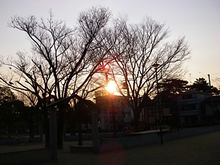 c0191390_2337456.jpg