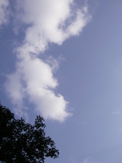 c0191390_2392513.jpg