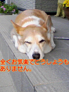 c0031794_20175884.jpg