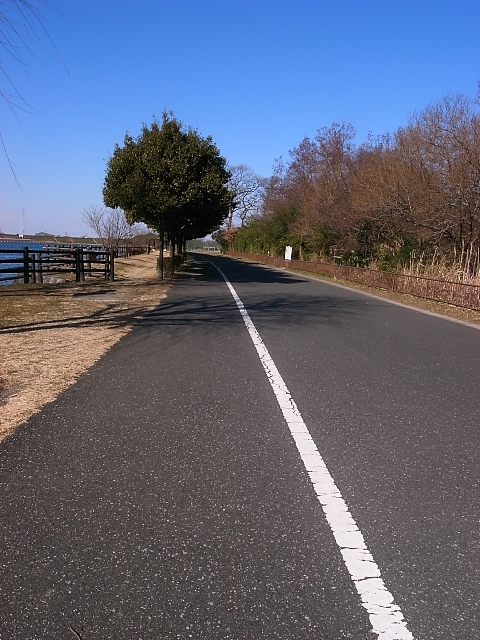 d0081997_22161753.jpg
