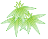 f0196199_754813.gif