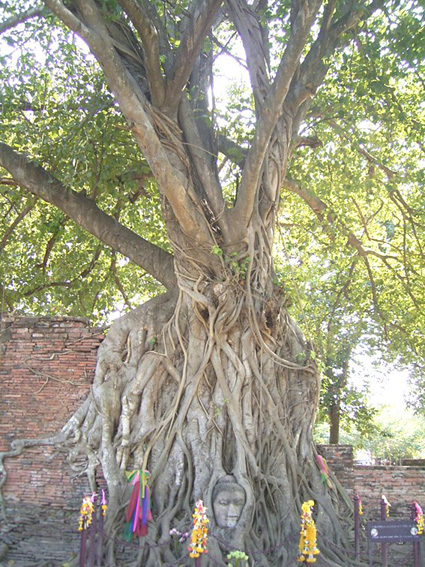 e0043700_1154987.jpg