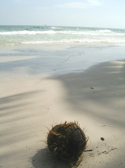 e0043700_12802.jpg