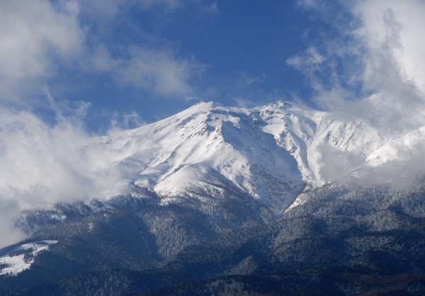 a0044202_8555191.jpg