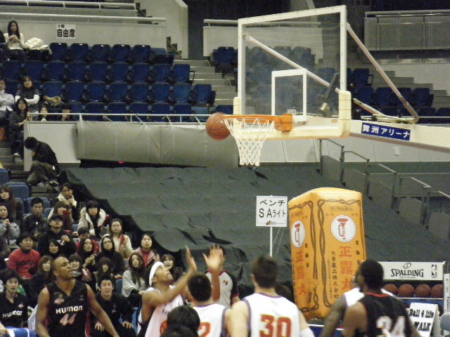 a0050302_527132.jpg