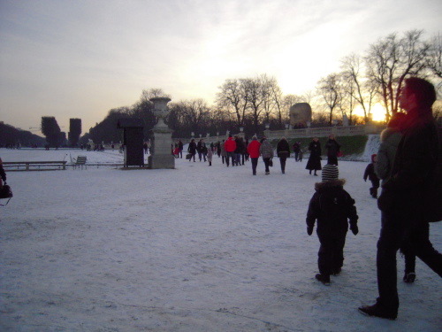 a0060003_9183443.jpg