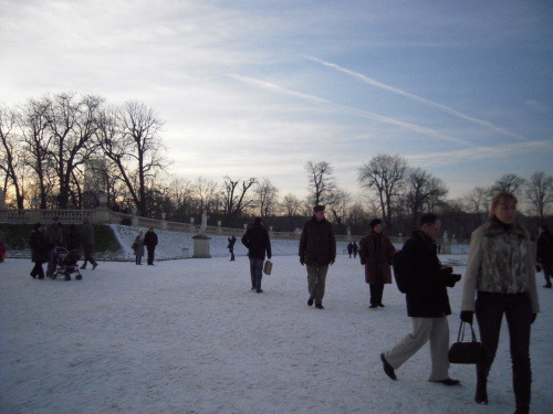 a0060003_919037.jpg