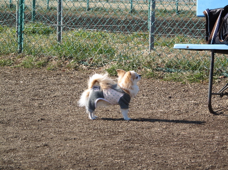 a0079803_23295577.jpg