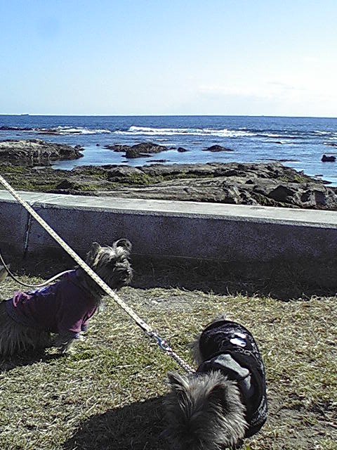 d0127716_2383722.jpg