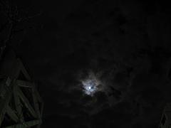 b0153224_172126.jpg