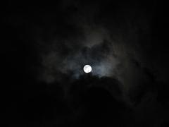 b0153224_1722969.jpg