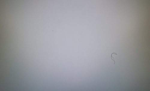 c0077129_18234531.jpg