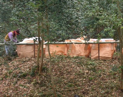 f0150629_23473991.jpg