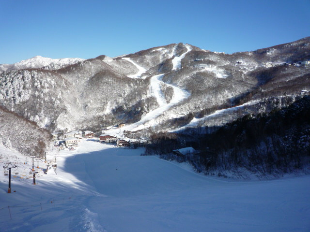 b0136931_21371053.jpg