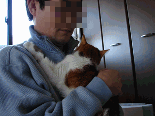 c0136736_11113148.gif