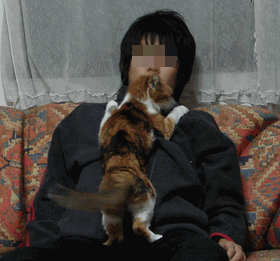 c0136736_11114969.gif